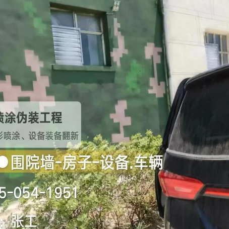 陕西数码迷彩漆施工